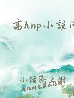 高hnp小说网