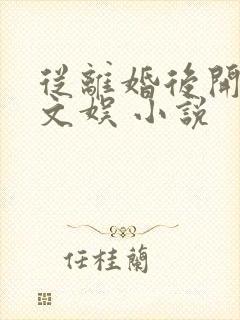 从离婚后开始的文娱 小说