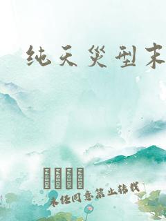 纯天灾型末世文