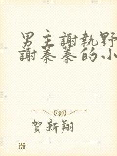 男主谢执野女主谢蓁蓁的小说