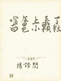 嘴唇上长了好多白色小颗粒