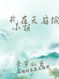 我在天庭捡垃圾 小说