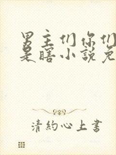 男主们你们是不是瞎小说免费阅读