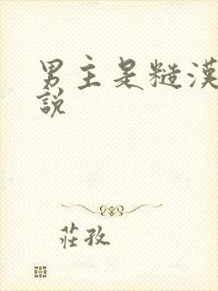 男主是糙汉的小说