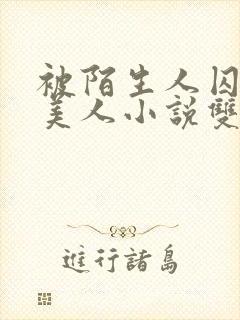 被陌生人囚禁的美人小说双男主