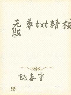 元尊txt精校版