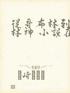 从哥布林到哥布林神 小说在线阅读