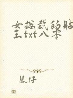 女总裁的贴身兵王txt八零