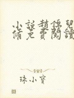 小说赵锦儿秦慕修免费阅读