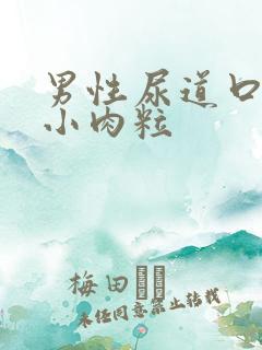 男性尿道口长有小肉粒