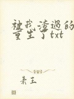 被我渣过的男主重生了txt