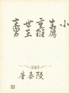 末世重生小说双男主推荐