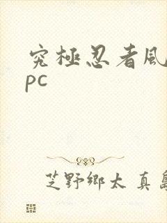 究极忍者风暴4pc