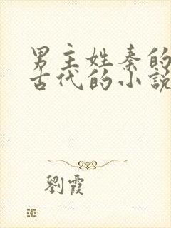 男主姓秦的穿越古代的小说