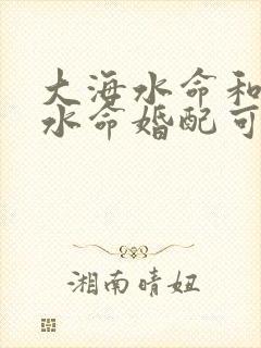 大海水命和大溪水命婚配可以吗