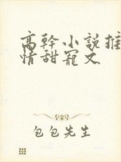 高干小说推荐言情甜宠文