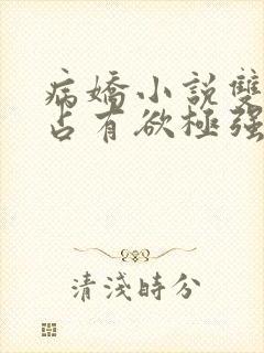 病娇小说双男主占有欲极强