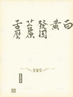 舌苔发黄白是什么原因