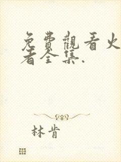 免费观看火影忍者全集.