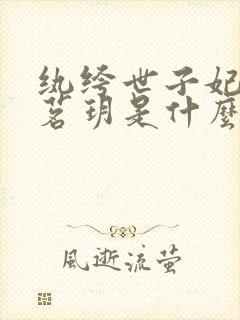 纨绔世子妃上官茗玥是什么人