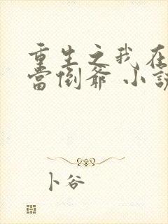 重生之我在末世当倒爷 小说