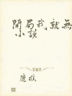 开局我就无敌了 小说