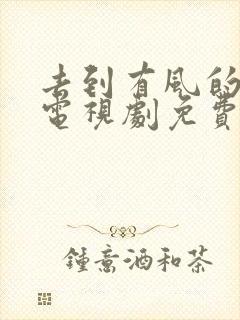 去到有风的地方电视剧免费观看