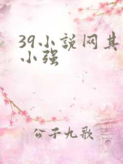 39小说网其他小强