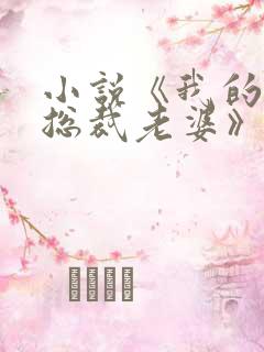 小说《我的冰山总裁老婆》