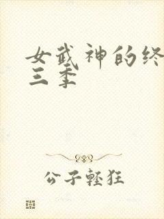 女武神的终末第三季