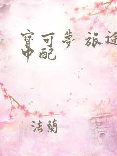 宝可梦 旅途 中配