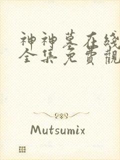 神神墓在线观看全集免费观看动漫