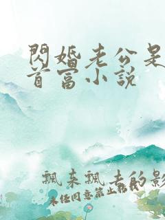 闪婚老公是千亿首富小说