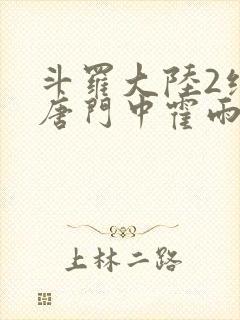 斗罗大陆2绝世唐门中霍雨浩