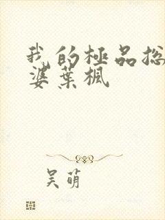 我的极品总裁老婆叶枫