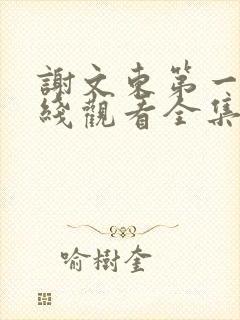 谢文东第一季在线观看全集免费