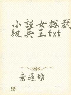 小说女总裁的超级兵王txt