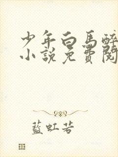 少年白马醉春风小说免费阅读免费