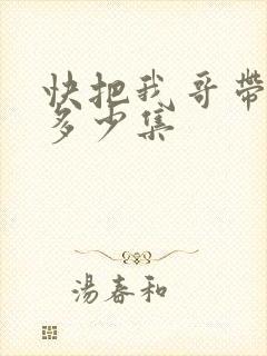 快把我哥带走共多少集