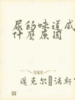 尿的味道咸苦是什么原因