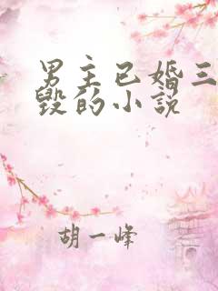 男主已婚三观尽毁的小说