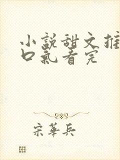 小说甜文推文一口气看完