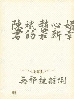 陈斌赵心媚高婉君的最新章节内容