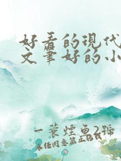 好看的现代言情文笔好的小说