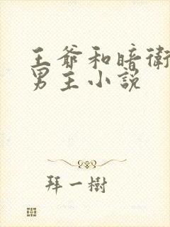 王爷和暗卫的双男主小说