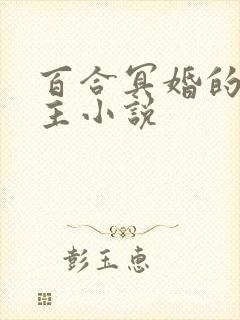 百合冥婚的双女主小说