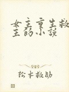 女主重生救赎男主的小说