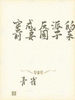 穿成反派的炮灰前妻团子来袭