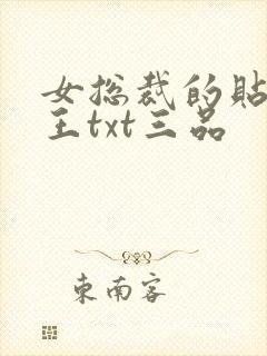 女总裁的贴身兵王txt三品