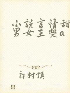 小说言情甜宠文男女主双a